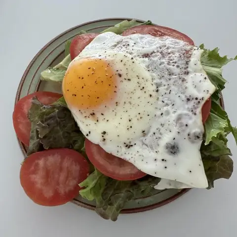 상추 토마토 계란 샐러드